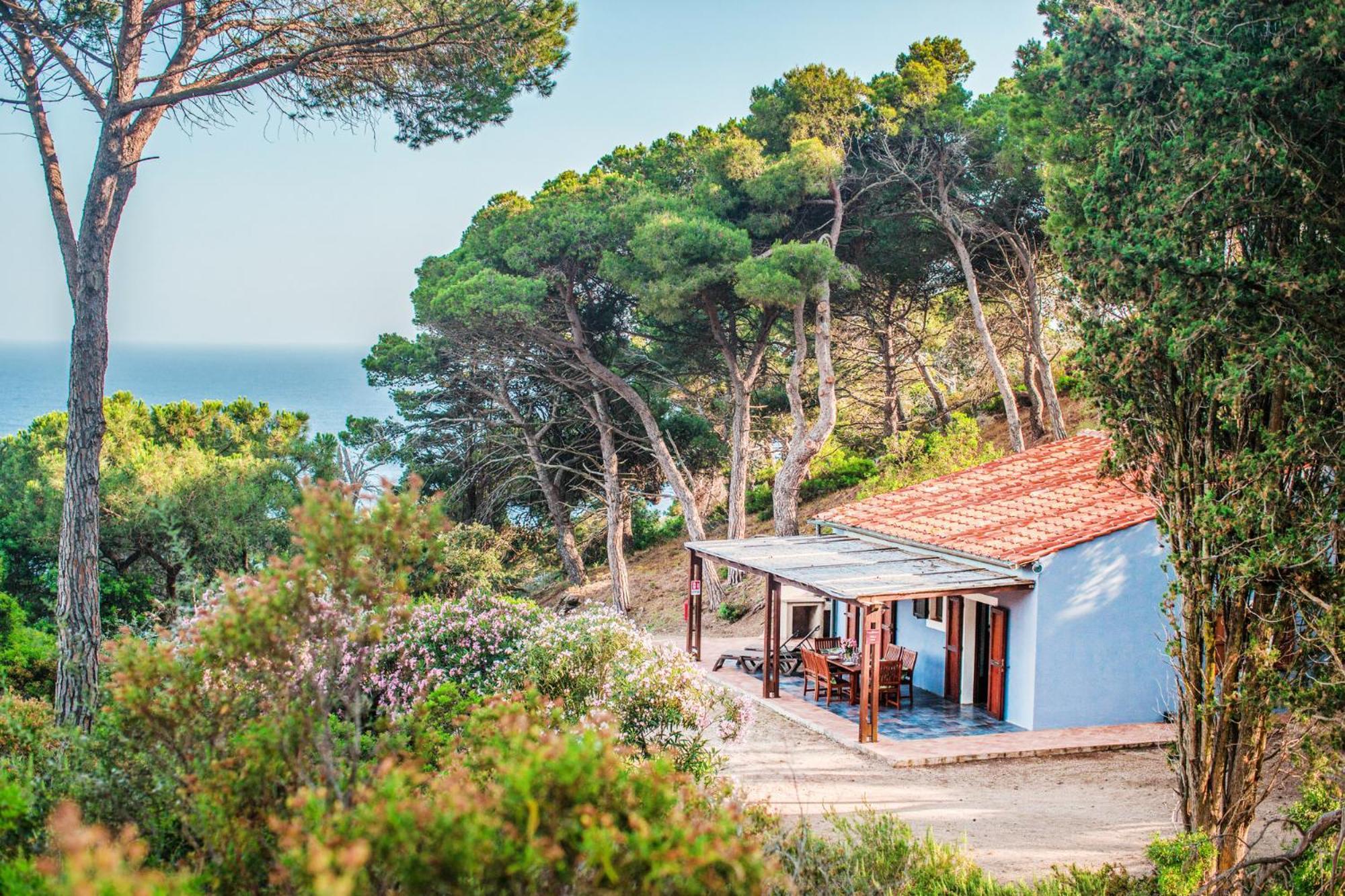 Tenuta Delle Ripalte Capoliveri  Dış mekan fotoğraf