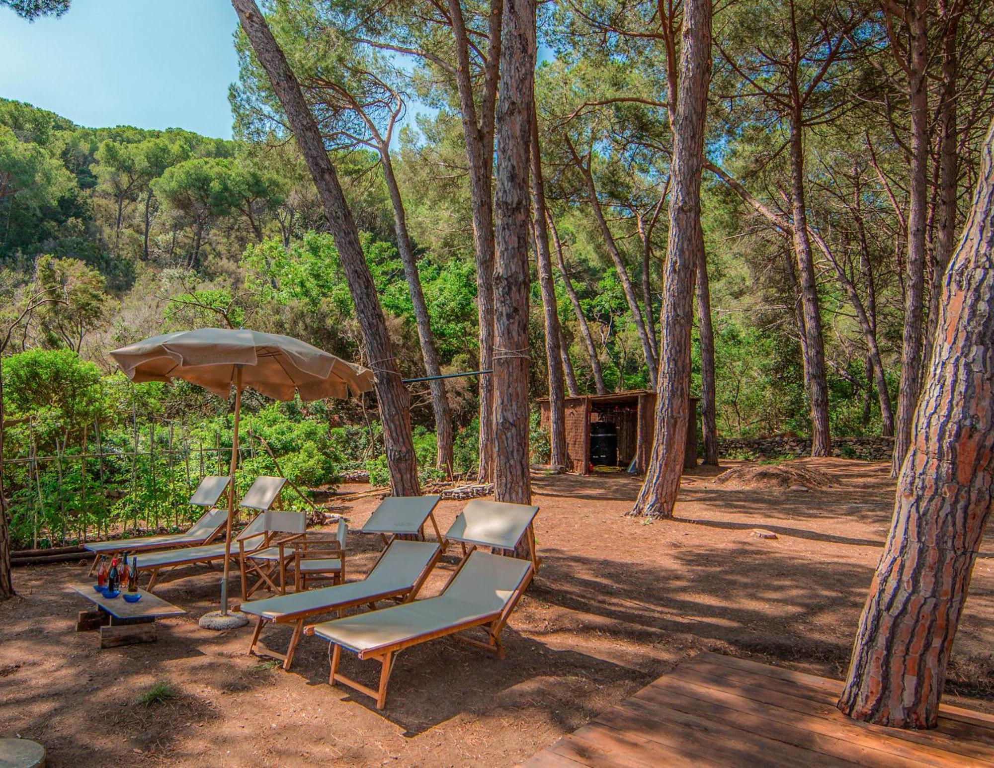 Tenuta Delle Ripalte Capoliveri  Dış mekan fotoğraf