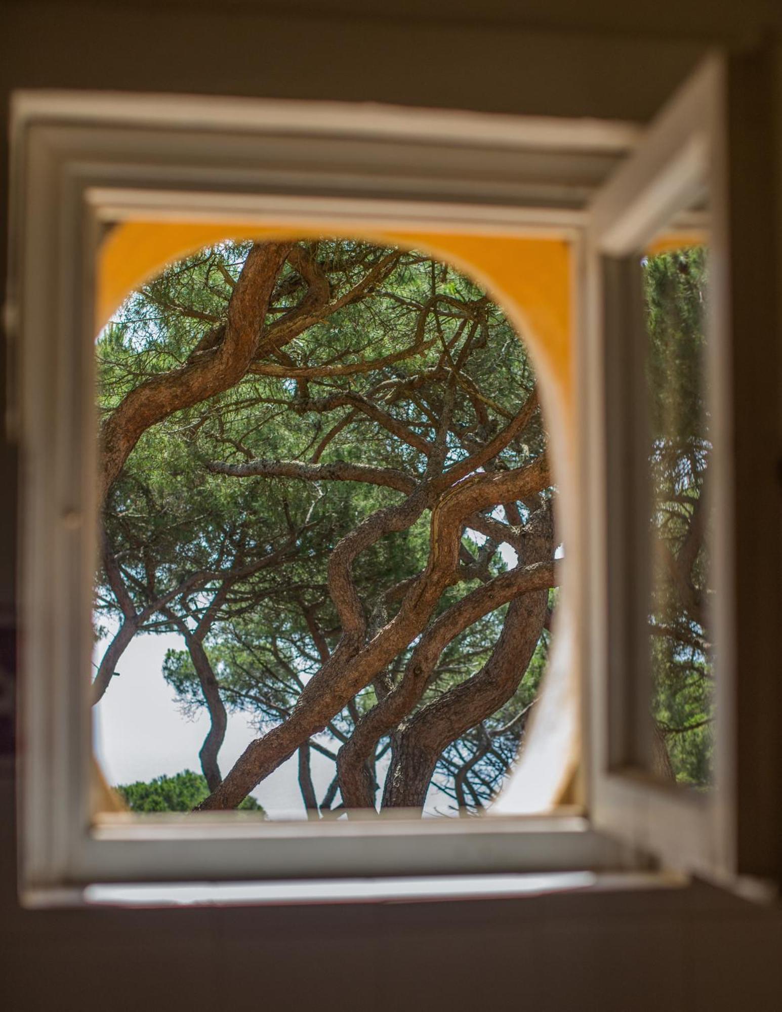 Tenuta Delle Ripalte Capoliveri  Dış mekan fotoğraf